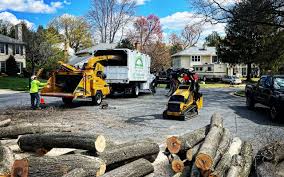 Best Tree and Shrub Care  in Svis, IL